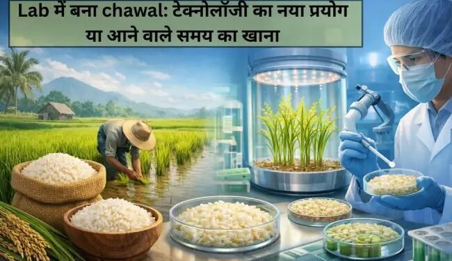 Lab में बना chawal: टेक्नोलॉजी का नया प्रयोग या आने वाले समय का खाना