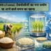Lab में बना chawal: टेक्नोलॉजी का नया प्रयोग या आने वाले समय का खाना