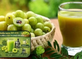 Amla Juice कैसे बनाएं 7 आसान तरीके जो सेहत और कमाई दोनों बढ़ाएं