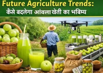 Future Agriculture Trends कैसे बदलेगा आंवला खेती का भविष्य