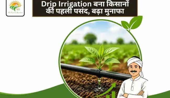 Drip Irrigation बना किसानों की पहली पसंद, बढ़ा मुनाफा