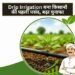 Drip Irrigation बना किसानों की पहली पसंद, बढ़ा मुनाफा