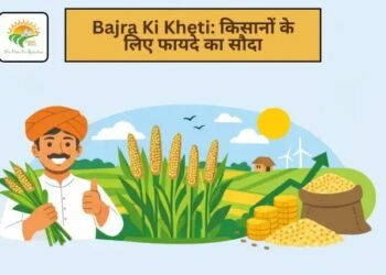 Bajra Ki Kheti: किसानों के लिए फायदे का सौदा