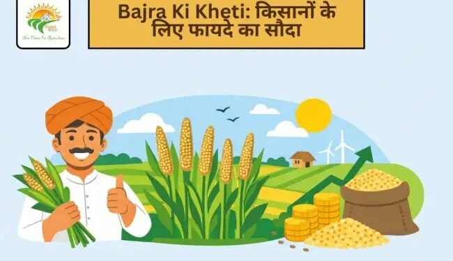 Bajra Ki Kheti: किसानों के लिए फायदे का सौदा