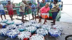 रिकॉर्ड उछाल: भारत का समुद्री खाद्य निर्यात ₹72,000 करोड़ के पार, झींगा बना सबसे बड़ा सहारा