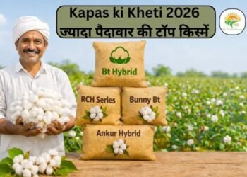 Kapas ki Kheti 2026 ज्यादा पैदावार की टॉप किस्में