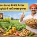 Aloo-Sarso के बाद Avtar Mungfali से पाएँ अच्छा मुनाफा