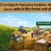 Chandigarh-Haryana Update: आज से Sarso खरीद के लिए गेटपास जारी होंगे