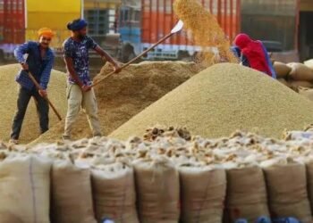 किसानों को बड़ी राहत: यूपी कैबिनेट ने गेहूं MSP में ₹160 की बढ़ोतरी को दी मंजूरी