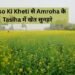 Sarso Ki Kheti से Amroha के Tasiha में खेत सुनहरे