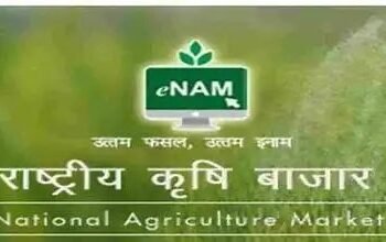 राष्ट्रीय कृषि बाजार (e-NAM): डिजिटल तकनीक से बदला भारत का कृषि व्यापार परिदृश्य