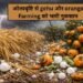 ओलावृष्टि से gehu और orange farming को भारी नुकसान