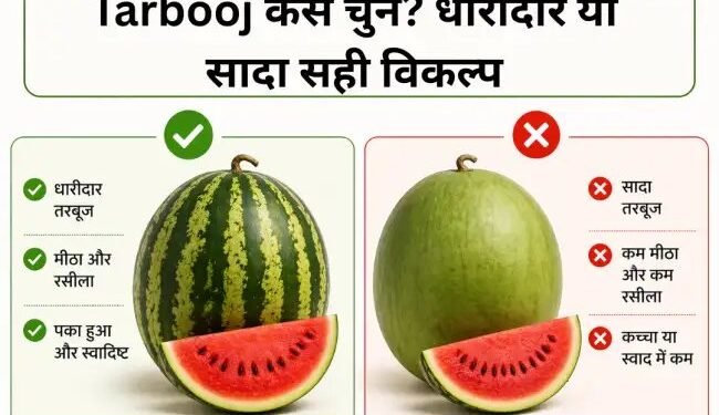 Tarbooj कैसे चुनें? धारीदार या सादा सही विकल्प