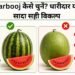 Tarbooj कैसे चुनें? धारीदार या सादा सही विकल्प