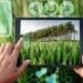 AI से बदलेगी खेती की तस्वीर: Syngenta का स्मार्ट कृषि मॉडल किसानों के लिए बना गेमचेंजर