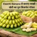 Elaichi Banana से कमाएं लाखों: जानें खेती का पूरा बिजनेस मॉडल