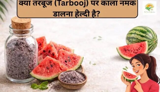 क्या तरबूज (Tarbooj) पर काला नमक डालना हेल्दी है?