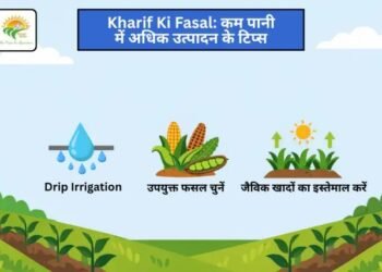 Kharif Ki Fasal: कम पानी में अधिक उत्पादन के टिप्स
