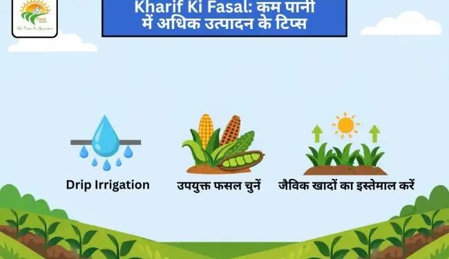 Kharif Ki Fasal: कम पानी में अधिक उत्पादन के टिप्स