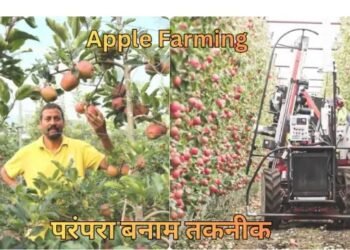Apple Farming का बदलता स्वरूप परंपरा बनाम तकनीक