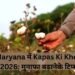Haryana में Kapas Ki Kheti 2026: मुनाफा बढ़ाने के टिप्स