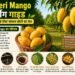 Dasheri Mango फार्मिंग गाइड हर किसान के लिए सफल खेती का मंत्र