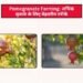 Pomegranate Farming: अधिक मुनाफे के लिए बेहतरीन तरीके
