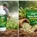 नैनो क्रांति का अगला कदम: IFFCO ने लॉन्च किए दो नए Nano NPK उर्वरक
