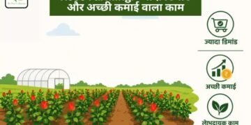 Rose Farming: ज्यादा डिमांड और अच्छी कमाई वाला काम