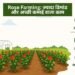 Rose Farming: ज्यादा डिमांड और अच्छी कमाई वाला काम