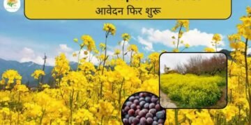 MSP खरीद 2026: Rajasthan में Sarso-चना आवेदन फिर शुरू