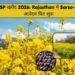 MSP खरीद 2026: Rajasthan में Sarso-चना आवेदन फिर शुरू