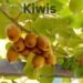 Kiwis स्वादिष्ट फल जो खेती को बना सकता है और लाभदायक