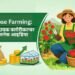 Rose Farming: लाभदायक फ्लोरीकल्चर बिजनेस आइडिया