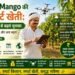 Dasheri Mango की स्मार्ट खेती डिजिटल एग्रीकल्चर से बढ़ाएं मुनाफा