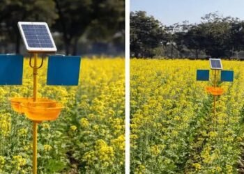 अब बिना केमिकल के कीटों पर वार! सोलर ट्रैप से खेती बनेगी सुरक्षित और सस्ती