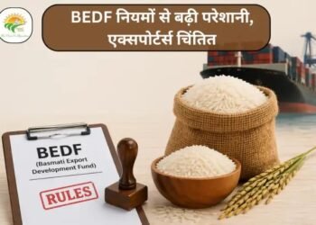 BEDF नियमों से बढ़ी परेशानी, एक्सपोर्टर्स चिंतित