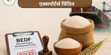 BEDF नियमों से बढ़ी परेशानी, एक्सपोर्टर्स चिंतित