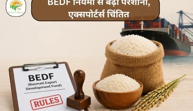 BEDF नियमों से बढ़ी परेशानी, एक्सपोर्टर्स चिंतित