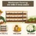 Mushroom Farming: कम जमीन में ज्यादा उत्पादन का स्मार्ट तरीका