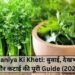 Dhaniya Ki Kheti: बुवाई, देखभाल और कटाई की पूरी Guide (2026)