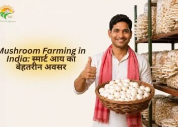 Mushroom Farming in India: स्मार्ट आय का बेहतरीन अवसर
