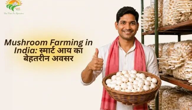 Mushroom Farming in India: स्मार्ट आय का बेहतरीन अवसर