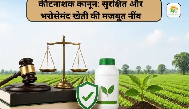 कीटनाशक कानून: सुरक्षित और भरोसेमंद खेती की मजबूत नींव