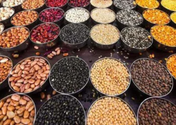 किसानों की आमदनी बढ़ाने के लिए नई पहल