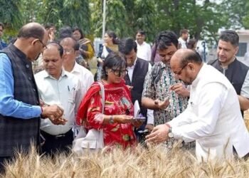 जलवायु-अनुकूल गेहूं से आत्मनिर्भर कृषि की ओर: करनाल में ICAR की पहलों की समीक्षा