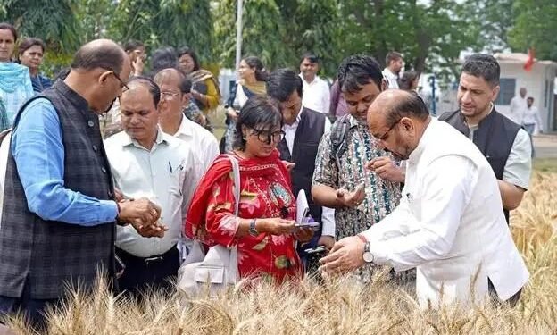 जलवायु-अनुकूल गेहूं से आत्मनिर्भर कृषि की ओर: करनाल में ICAR की पहलों की समीक्षा