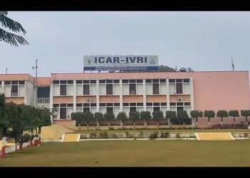 वैश्विक मंच पर चमका भारतीय कृषि शिक्षा का परचम, ICAR संस्थानों ने QS रैंकिंग 2026 में रचा इतिहास
