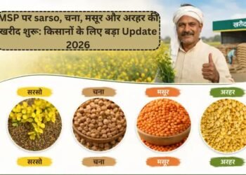 MSP पर sarso, चना, मसूर और अरहर की खरीद शुरू: किसानों के लिए बड़ा Update 2026