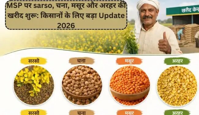MSP पर sarso, चना, मसूर और अरहर की खरीद शुरू: किसानों के लिए बड़ा Update 2026